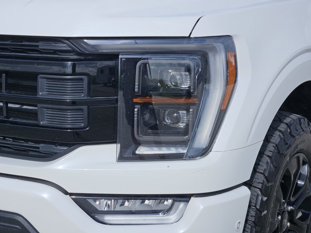 2023 FORD F-150 PLATINUM 照片 8