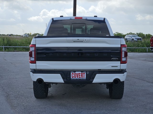 2023 FORD F-150 PLATINUM 照片 6