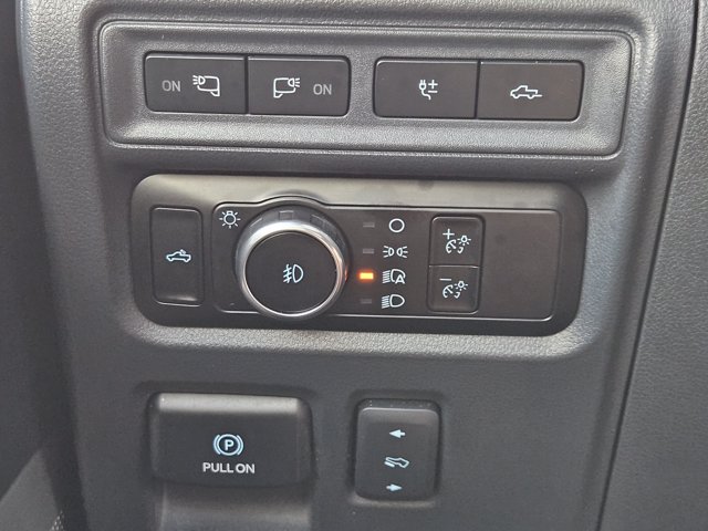 صورة مصغرة 23 لـ 2023 FORD F-150 PLATINUM