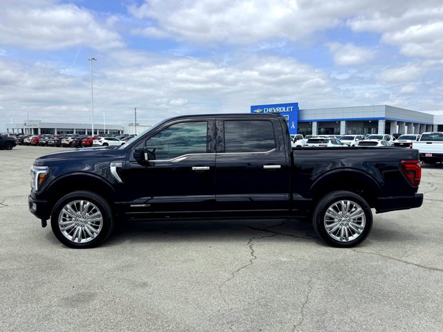 FORD F-150 PLATINUM - 10