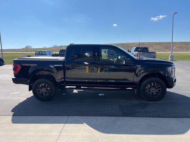 FORD F-150 TREMOR - 4