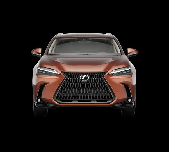 2026 Lexus NX 350H LUXURY 照片 6