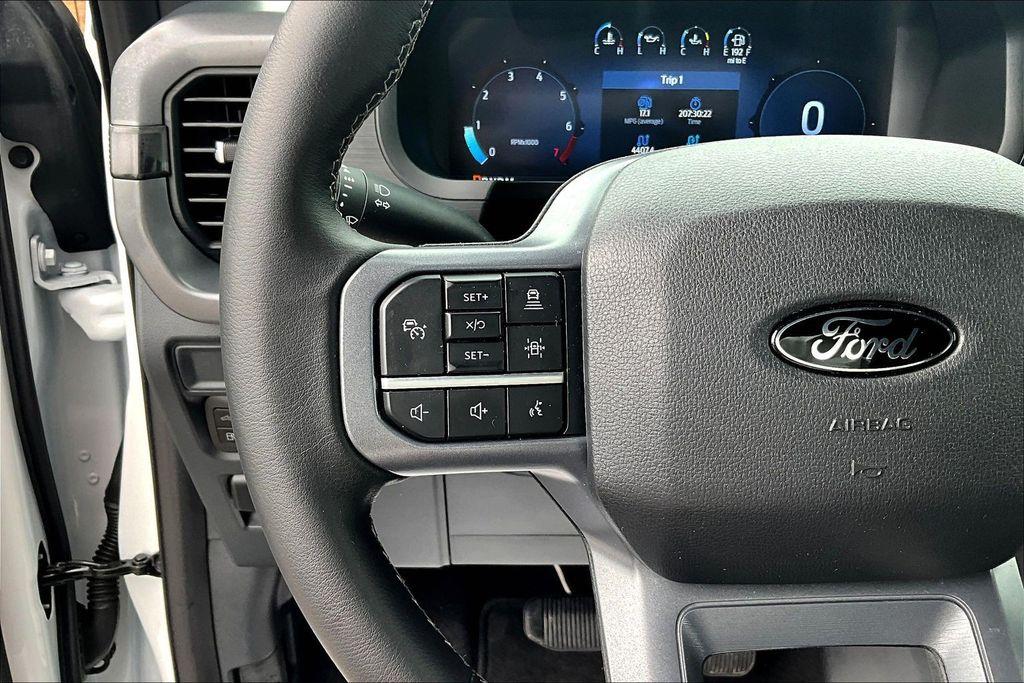 صورة مصغرة 20 لـ 2025 FORD F-150 XLT