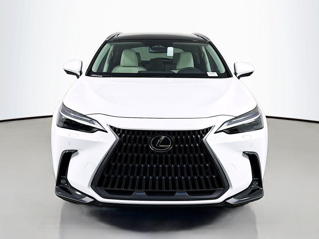 2026 Lexus NX 350 LUXURY photo 2