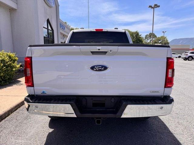 FORD F-150 - 5