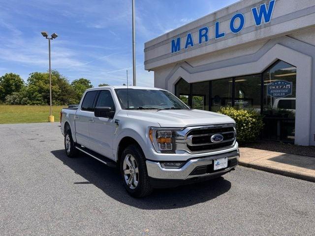FORD F-150 - 2