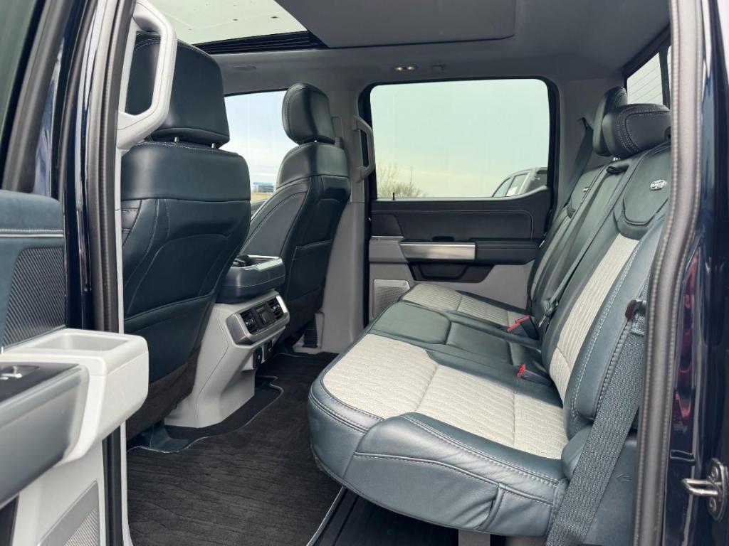 FORD F-150 LIMITED - 10
