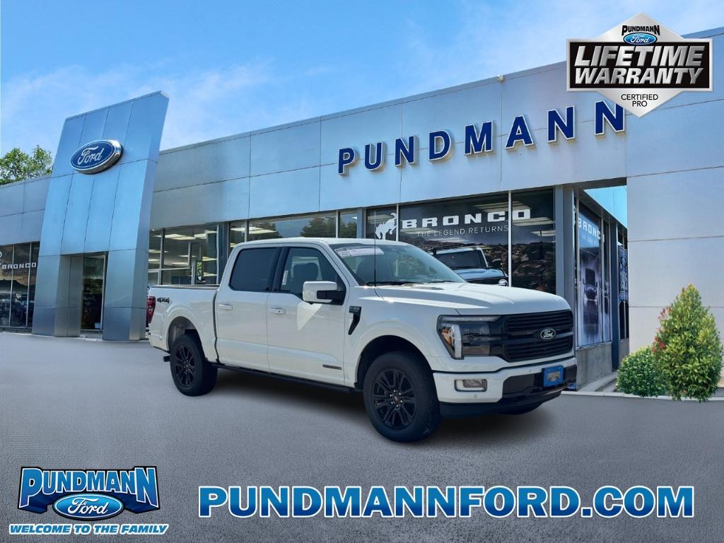 FORD F-150 PLATINUM - 1