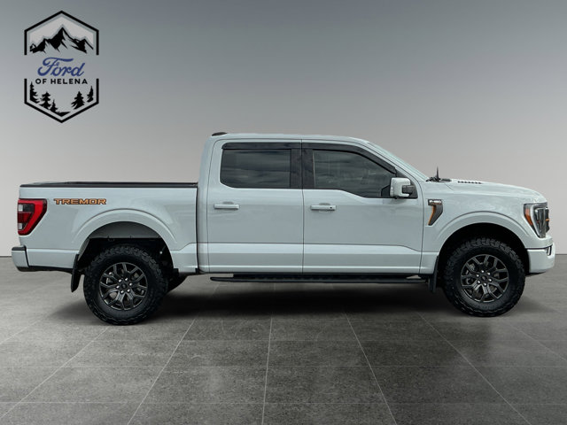 FORD F-150 XL - 6