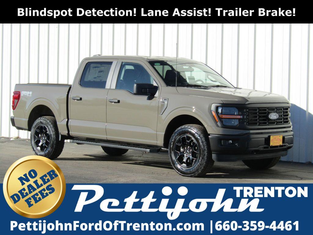 FORD F-150 STX - 1