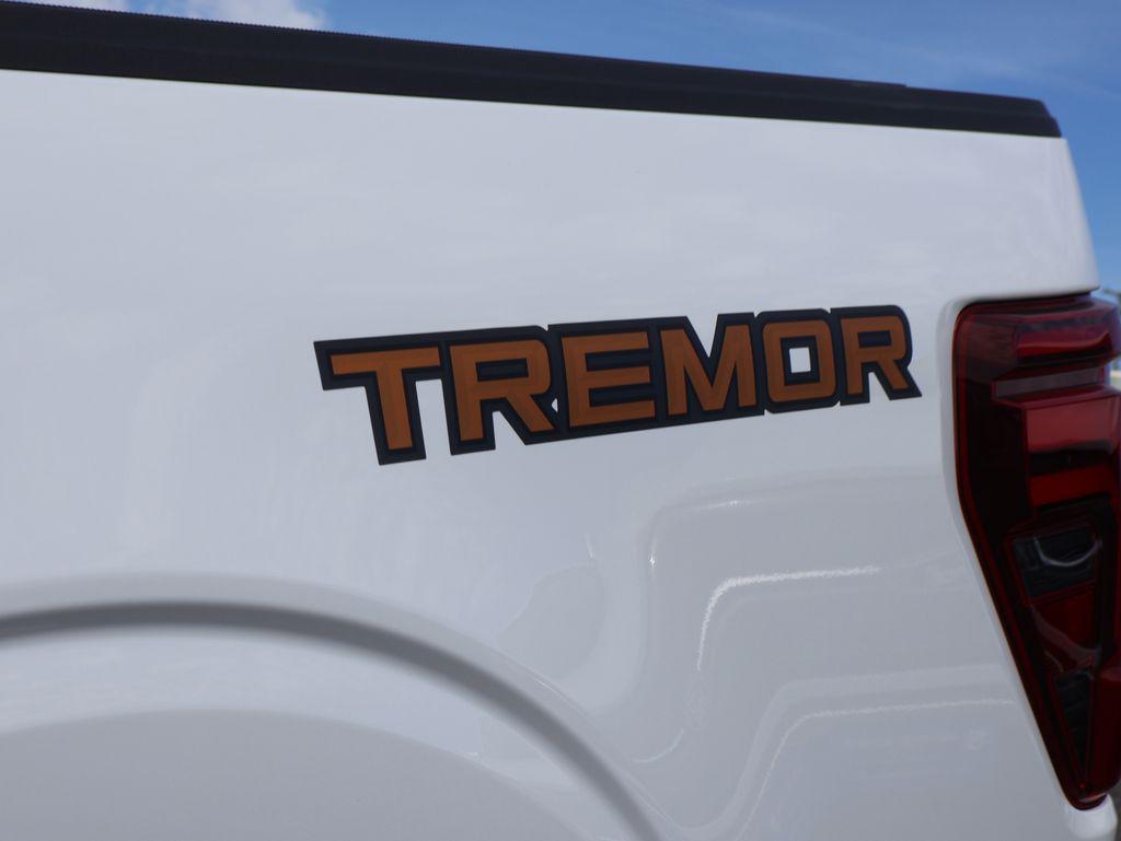 FORD F-150 TREMOR - 5