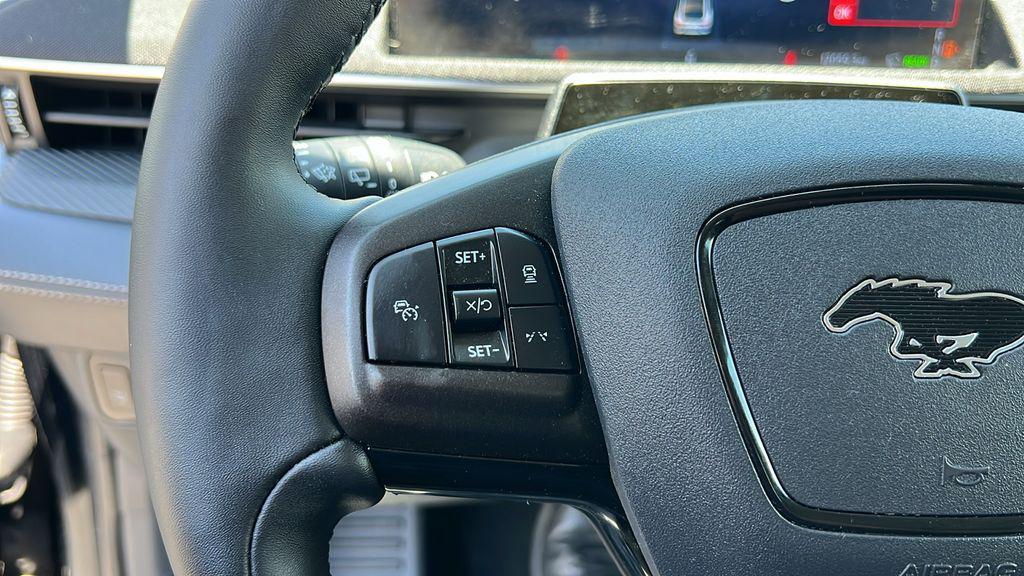 2025 FORD MUSTANG MACH-E SELECT 缩略图 19