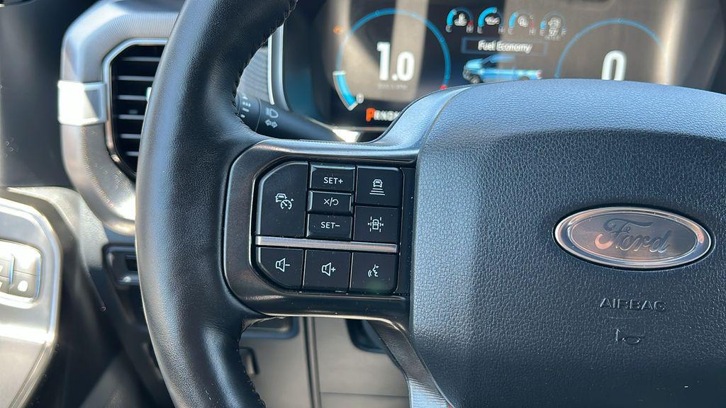 صورة مصغرة 20 لـ 2023 FORD F-150 PLATINUM