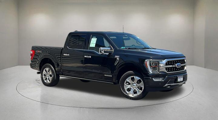 FORD F-150 PLATINUM - 1