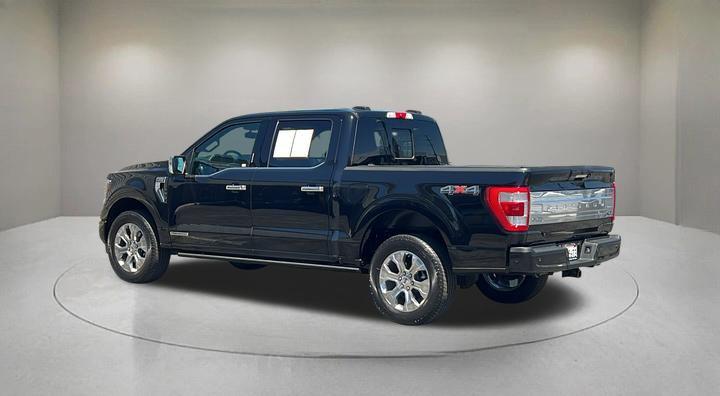 FORD F-150 PLATINUM - 3