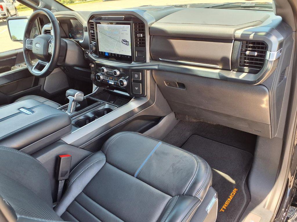 2025 FORD F-150 PLATINUM 缩略图 12