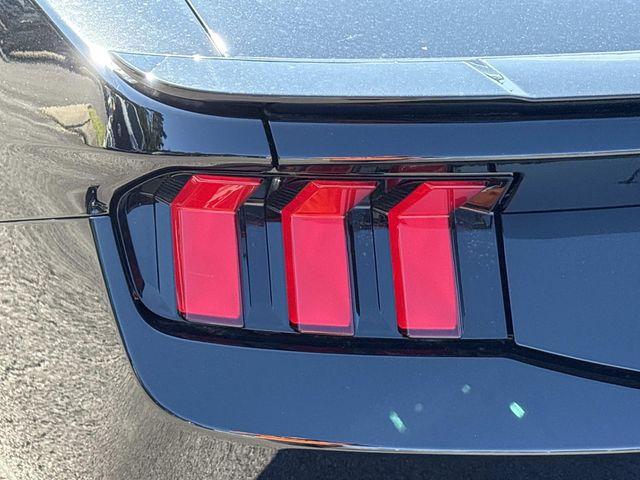 2026 FORD MUSTANG ECOBOOST 照片 8