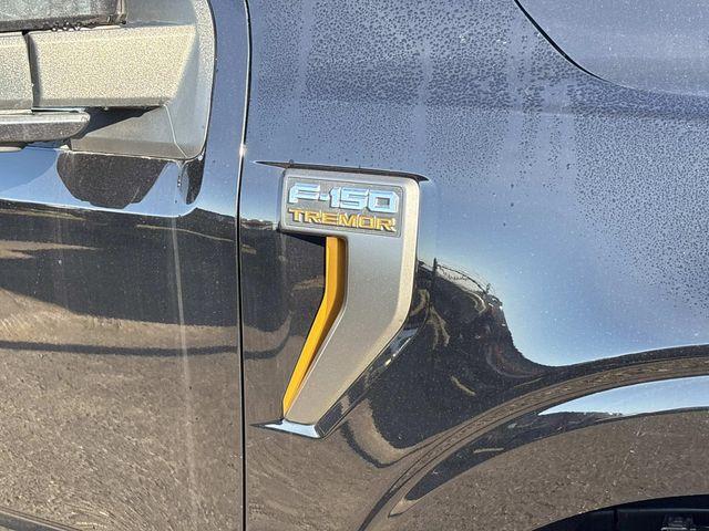 FORD F-150 TREMOR - 10