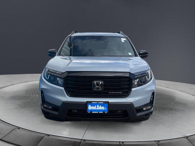 2025 Honda PASSPORT BLACK EDITION 照片 8