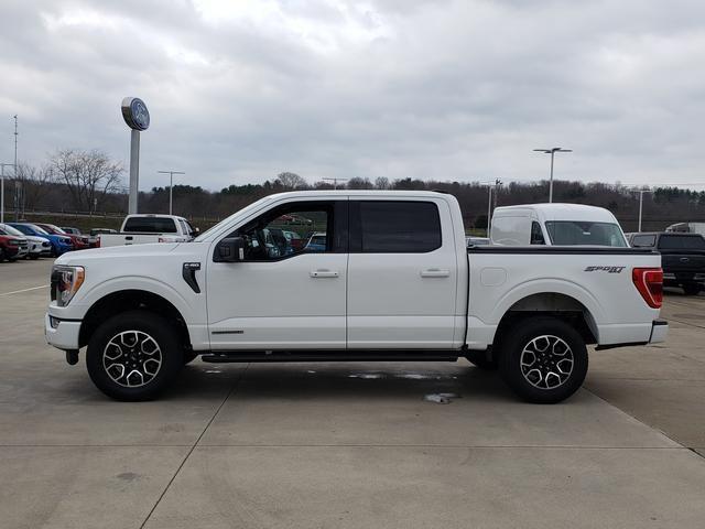 FORD F-150 XLT - 5