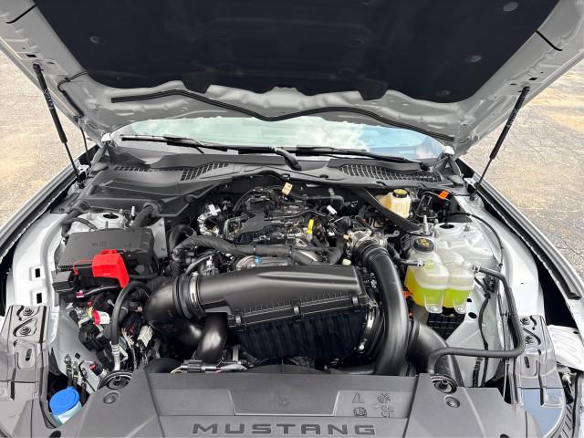 2026 FORD MUSTANG GT PREMIUM 缩略图 19