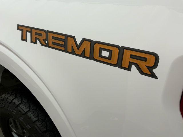 FORD F-150 TREMOR - 7
