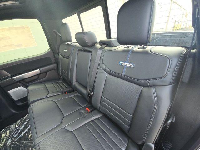 2025 FORD F-150 PLATINUM — миниатюра 18