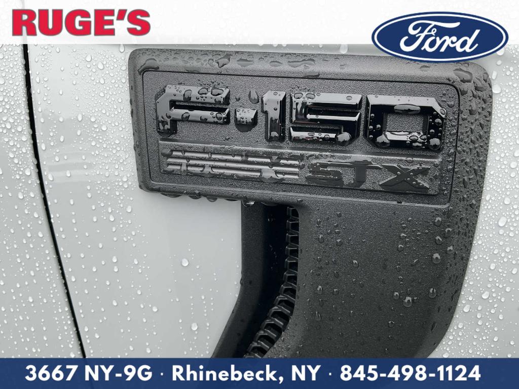 FORD F-150 STX - 10