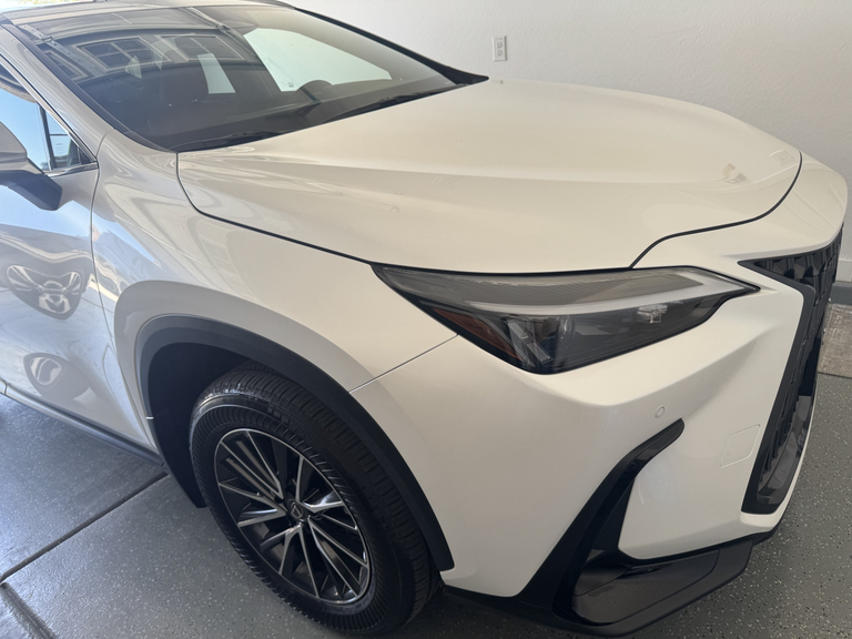 2024 Lexus NX 350H PREMIUM 照片 2