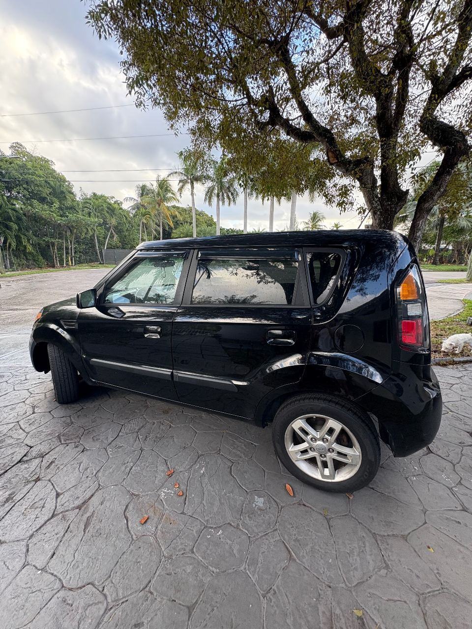 How to replace your rear light bulbs on 2013 kia optima | kia santa fe tail  bulb replacement | TikTok, image size:960x1280