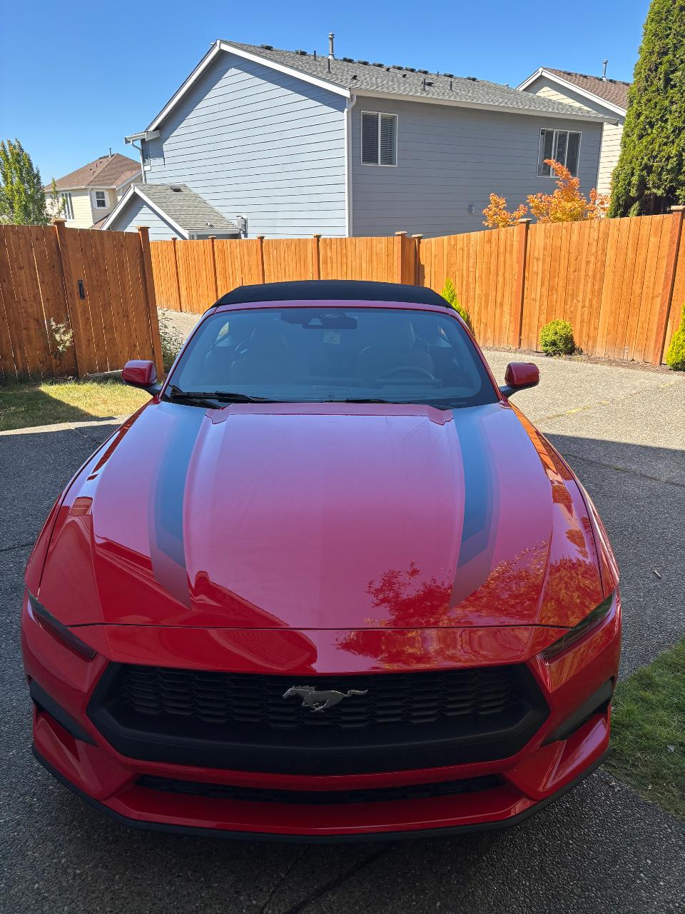 صورة 3 لـ 2025 FORD MUSTANG ECOBOOST