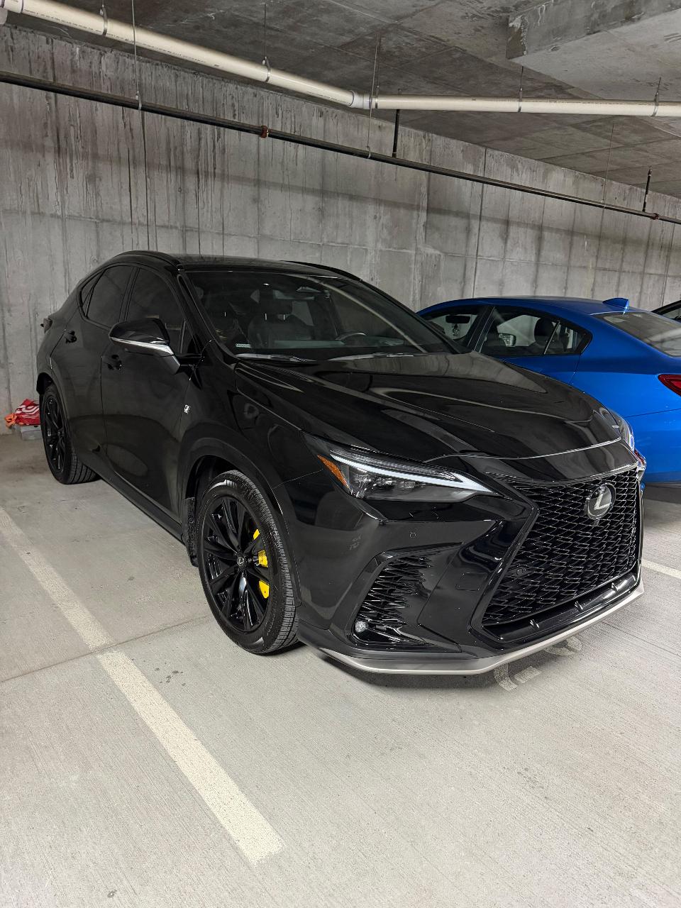 2024 Lexus NX 350 F SPORT HANDLING 照片 2
