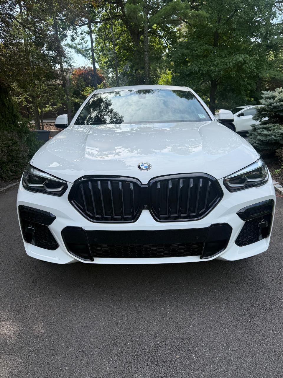 2022 BMW X6 XDRIVE40I 照片 2