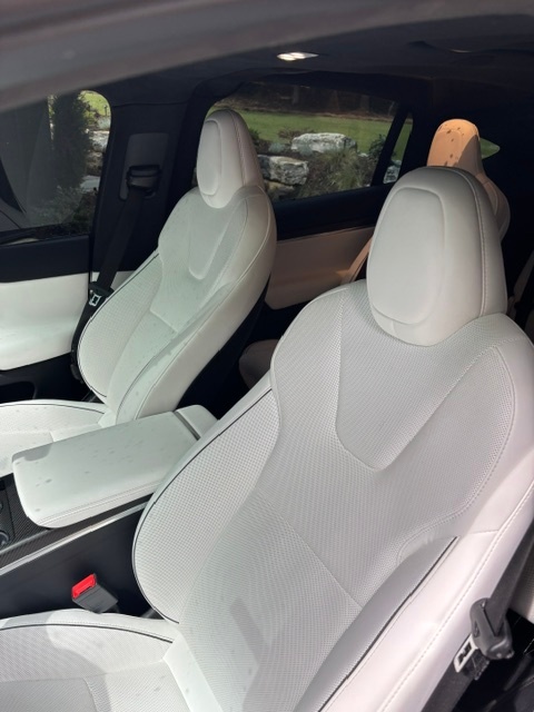 TESLA MODEL X PLAID - 7