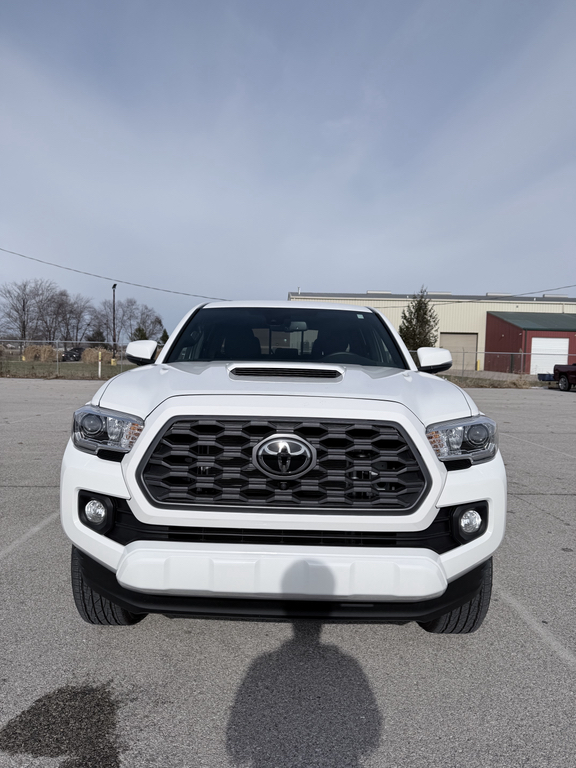 صورة 2 لـ 2023 Toyota TACOMA TRD SPORT