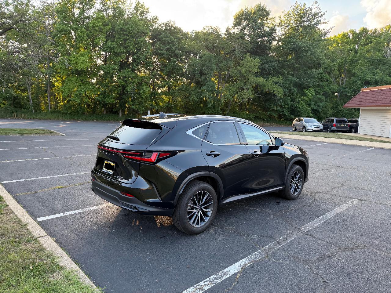 2024 Lexus NX 350 LUXURY — фото 7