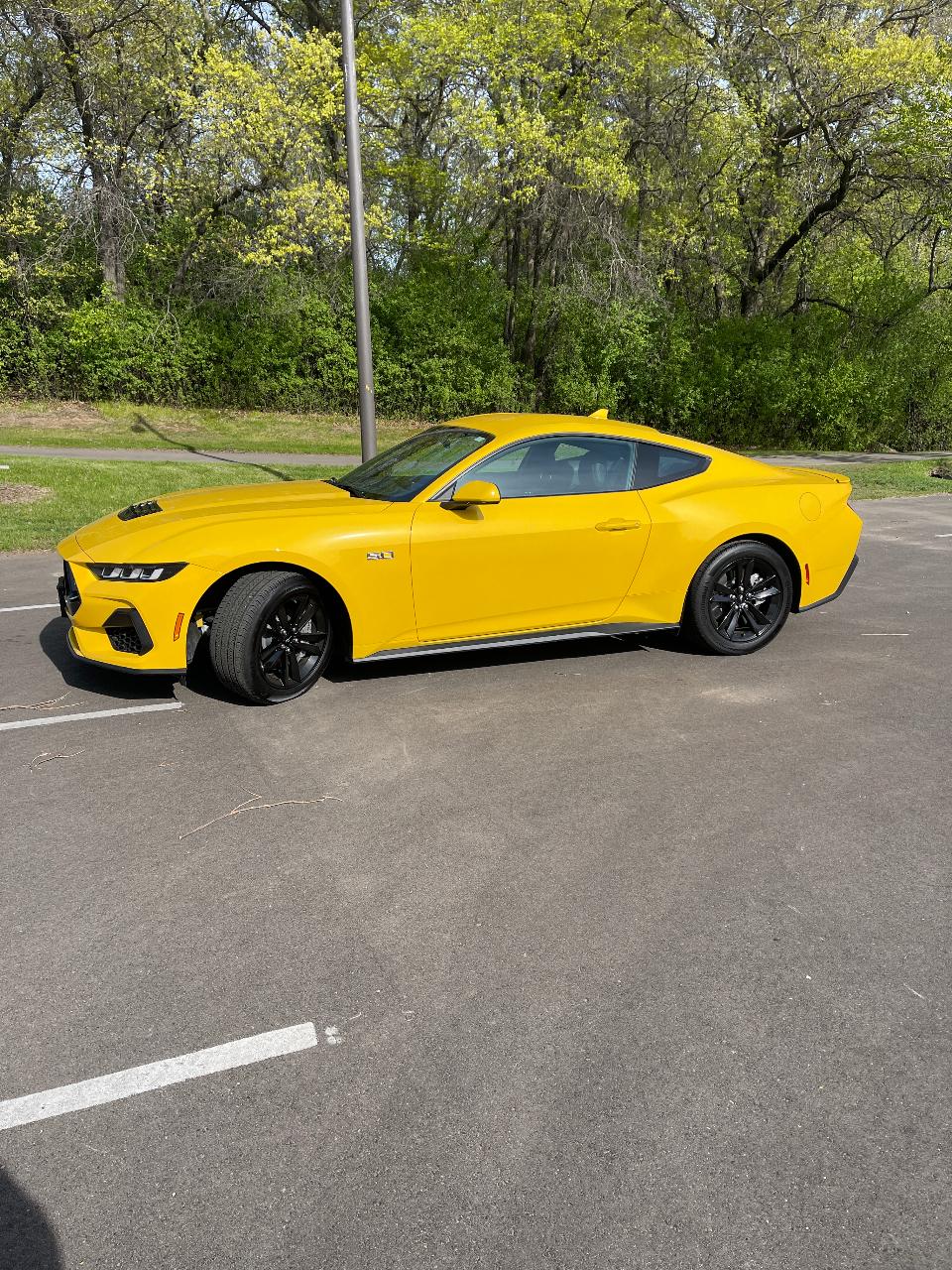 صورة 1 لـ 2024 FORD MUSTANG GT