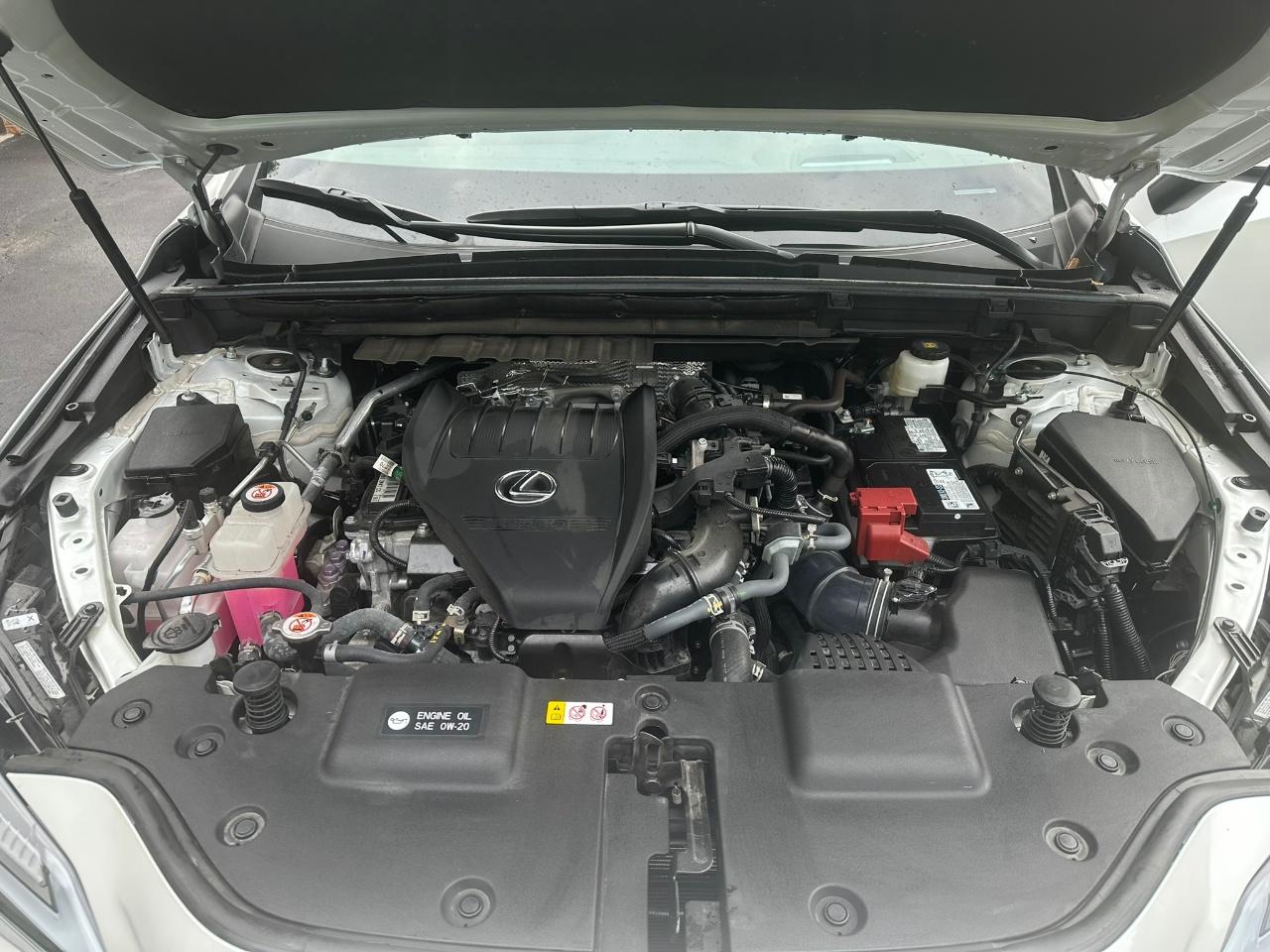 2024 Lexus NX 350 LUXURY 缩略图 12
