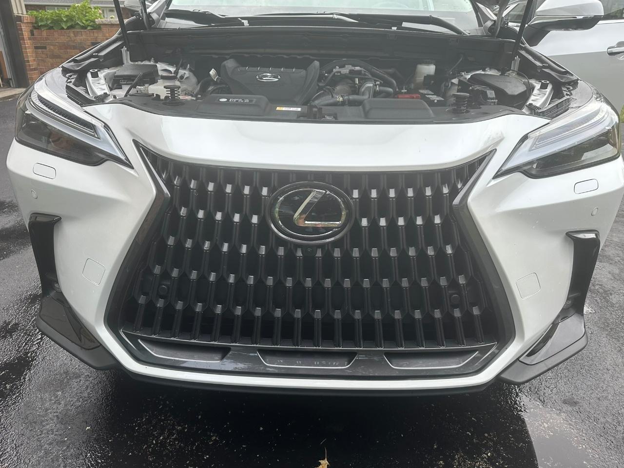 2024 Lexus NX 350 LUXURY 照片 6