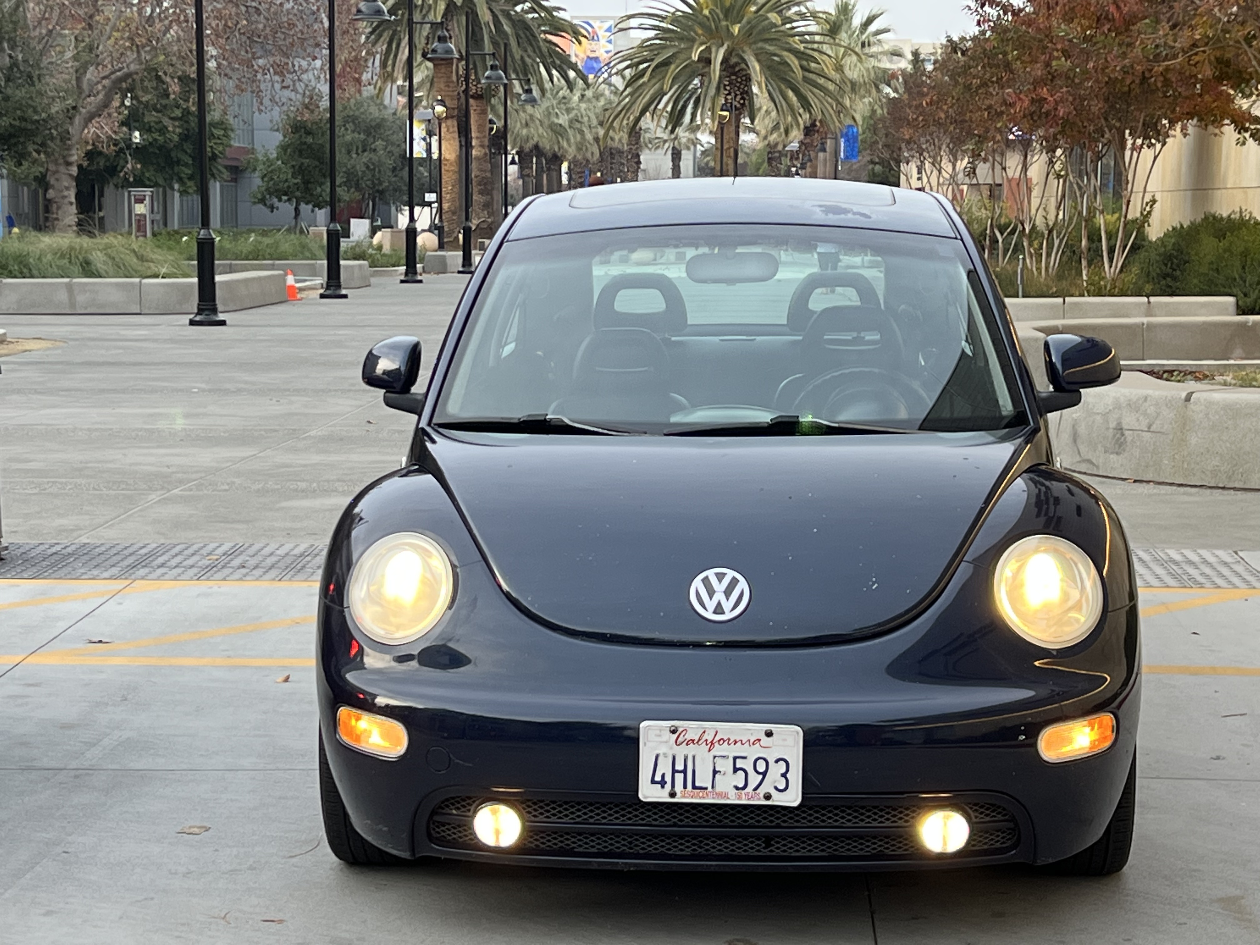 Shop 2000 Volkswagen Beetle with great discounts and prices online - Nov  2023