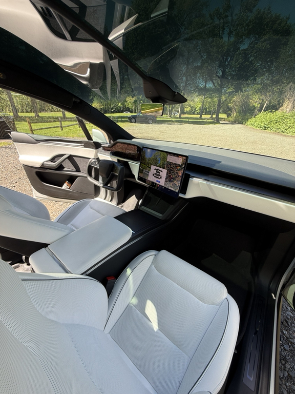 TESLA MODEL X PLAID - 10