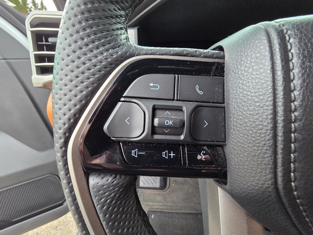 2024 Toyota TUNDRA HYBRID 1794 EDITION — миниатюра 22