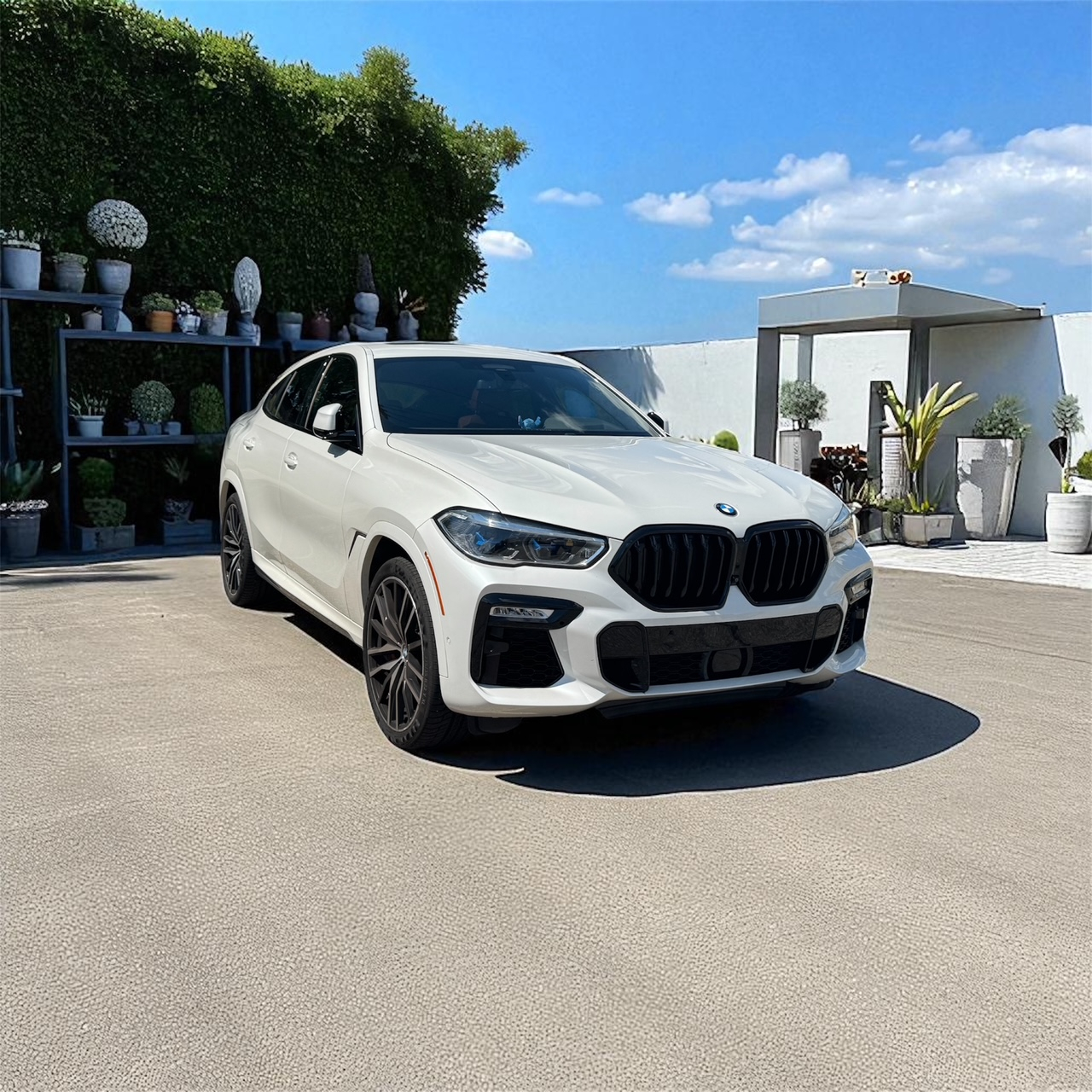 2021 BMW X6 M50I 照片 1