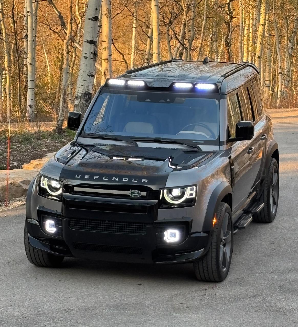 2021 LAND Rover DEFENDER X-DYNAMIC SE — фото 1