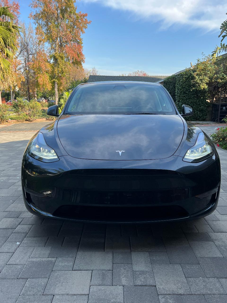2024 Tesla MODEL Y RWD 照片 3
