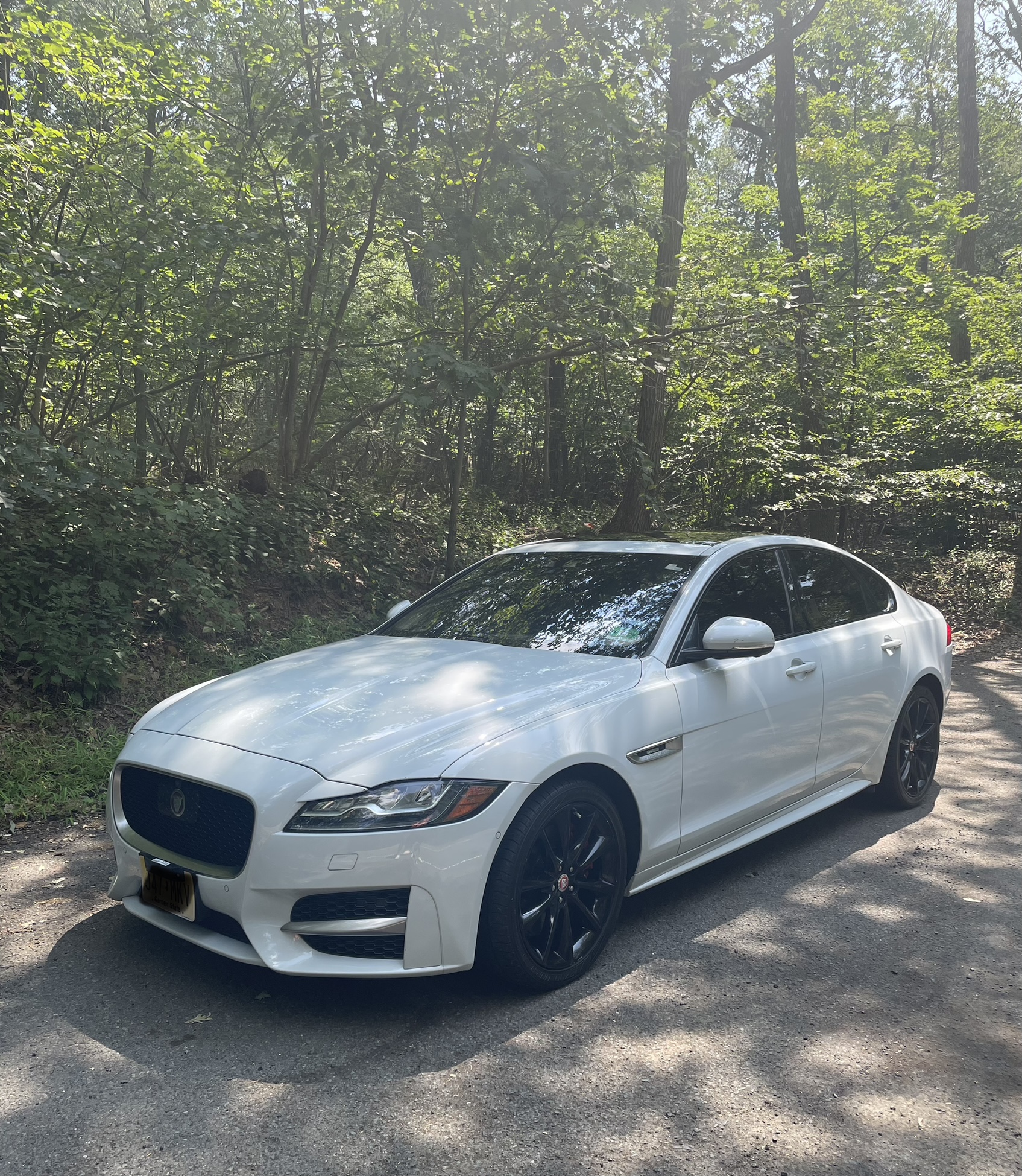 New and Used Jaguars for sale in New Jersey (NJ)