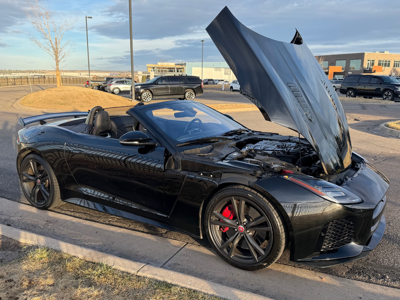2020 Jaguar F-TYPE SVR 缩略图 12