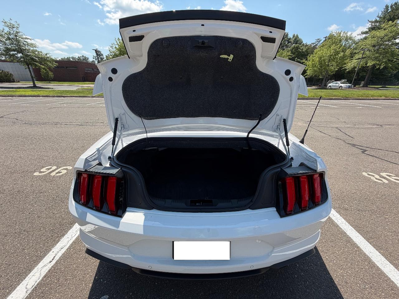 صورة مصغرة 15 لـ 2020 FORD MUSTANG GT PREMIUM