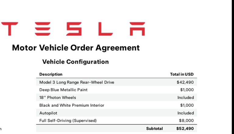 2025 Tesla MODEL 3 LONG RANGE RWD 照片 2
