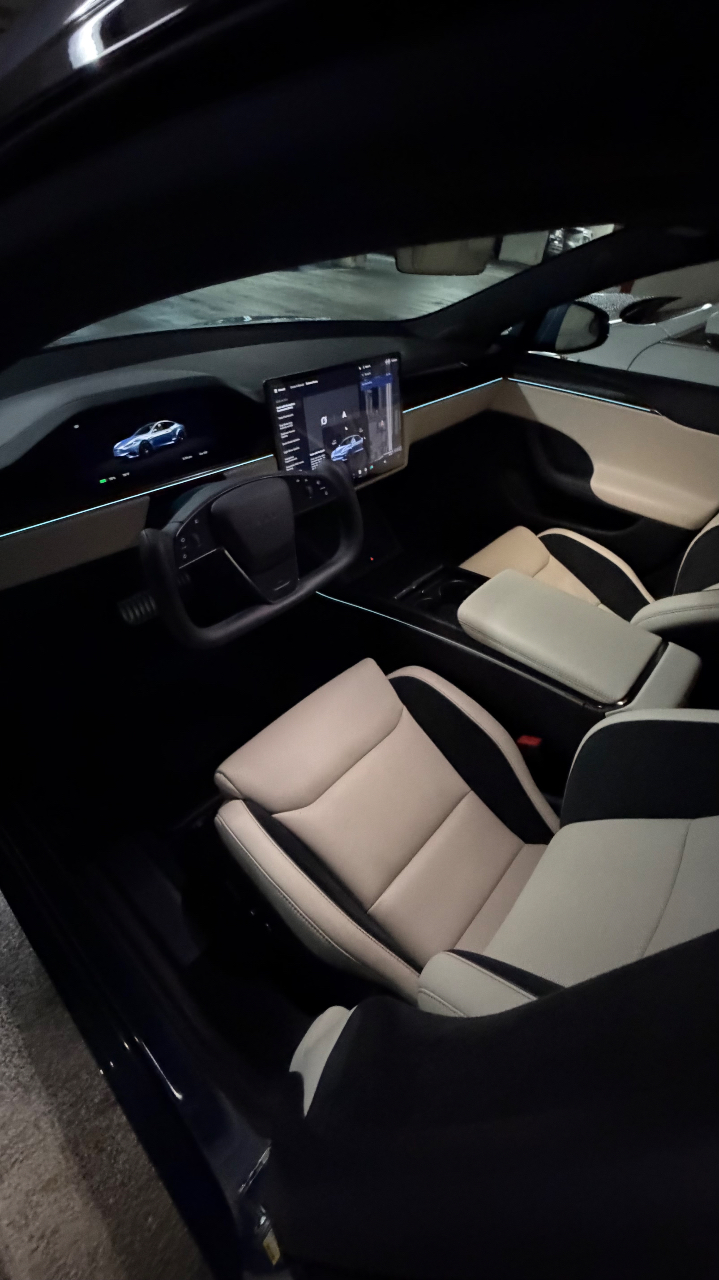 TESLA MODEL S PLAID - 5